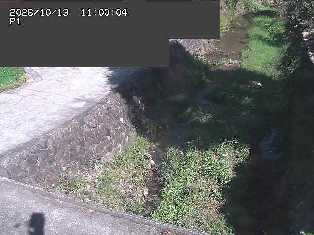 新興寺谷川１2026/10/13 14:30:00