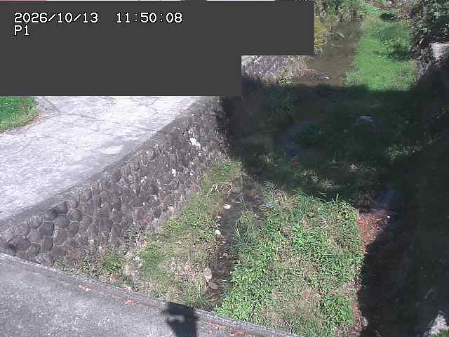 新興寺谷川１2026/10/13 14:30:00