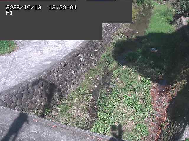 新興寺谷川１2026/10/13 14:30:00