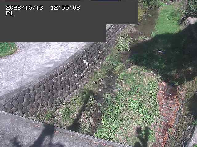 新興寺谷川１2026/10/13 14:30:00