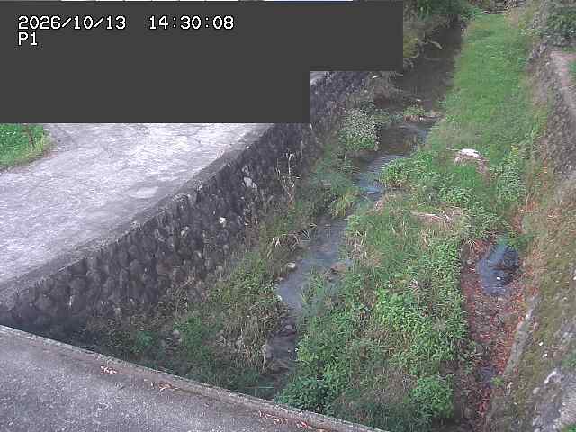 新興寺谷川１2026/10/13 14:30:00