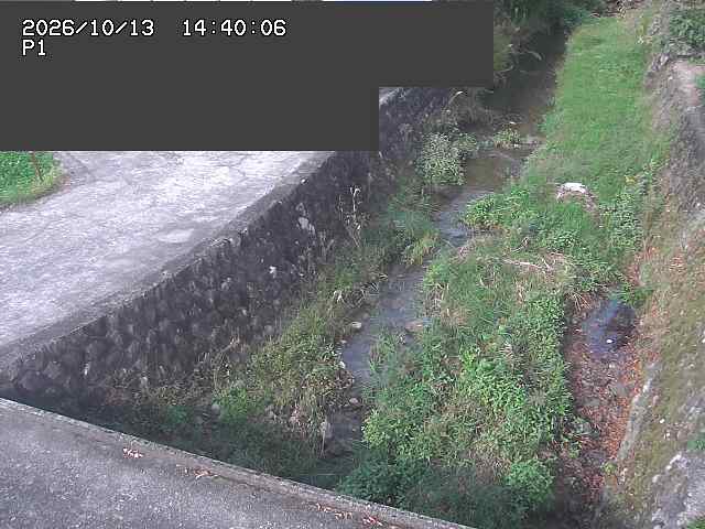 新興寺谷川１2026/10/13 14:30:00