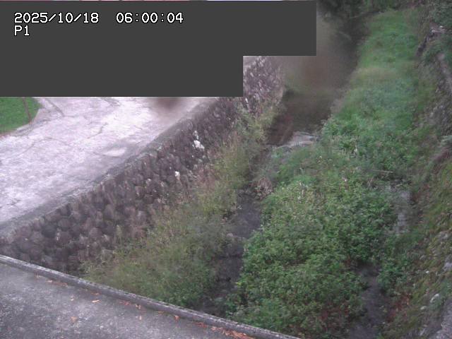 新興寺谷川１2025/10/18 20:20:00