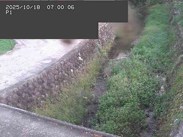 新興寺谷川１2025/10/18 20:20:00