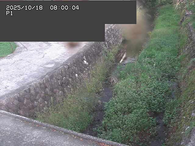 新興寺谷川１2025/10/18 20:20:00