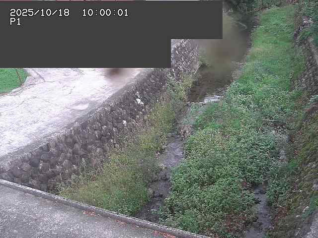 新興寺谷川１2025/10/18 20:20:00