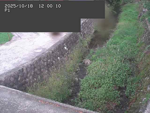 新興寺谷川１2025/10/18 20:20:00