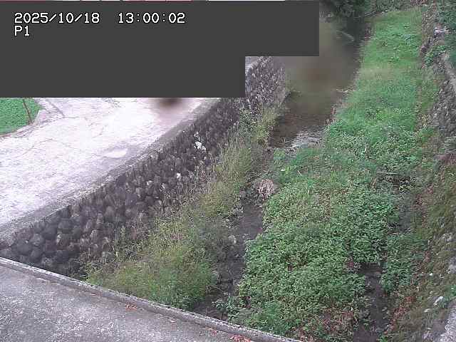 新興寺谷川１2025/10/18 20:20:00
