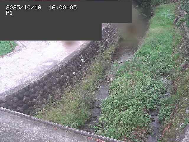 新興寺谷川１2025/10/18 20:20:00