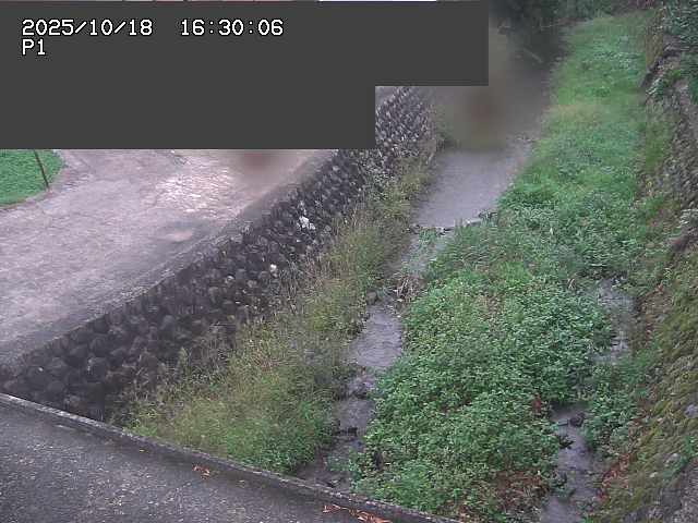 新興寺谷川１2025/10/18 20:20:00
