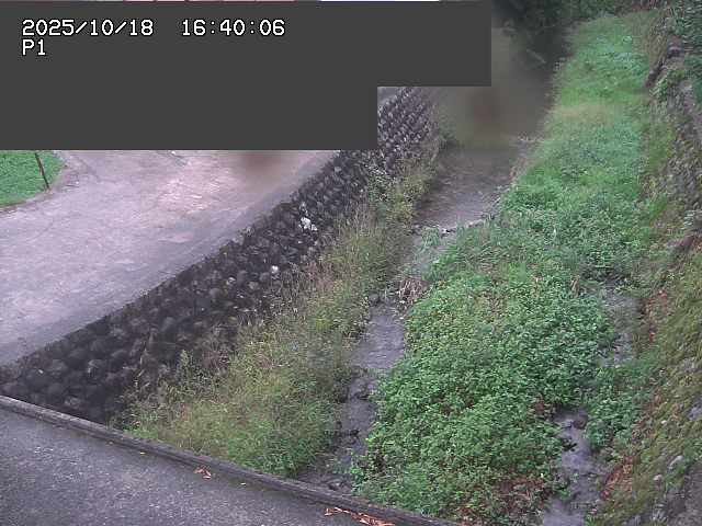 新興寺谷川１2025/10/18 20:20:00