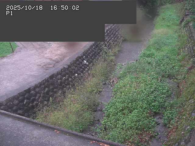 新興寺谷川１2025/10/18 20:20:00
