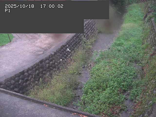 新興寺谷川１2025/10/18 20:20:00
