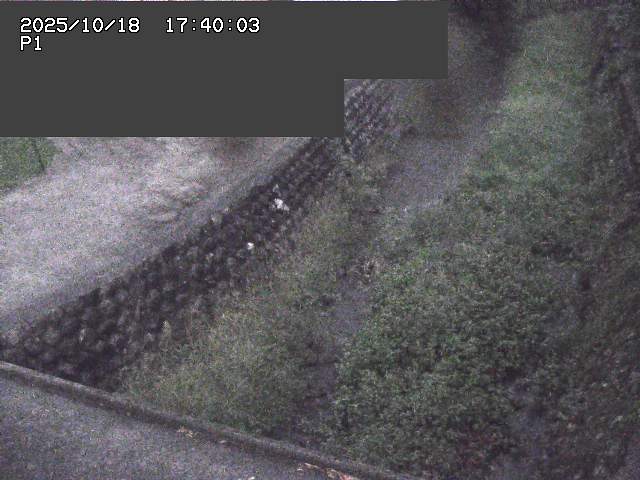 新興寺谷川１2025/10/18 20:20:00