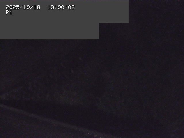 新興寺谷川１2025/10/18 20:20:00