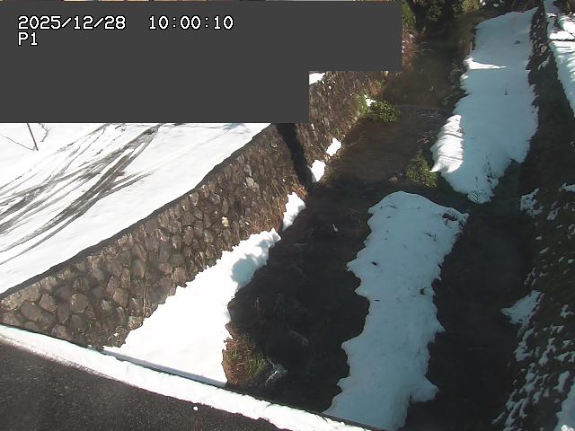 新興寺谷川１2025/12/29 9:50:00