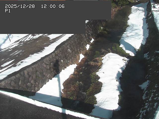 新興寺谷川１2025/12/29 9:50:00