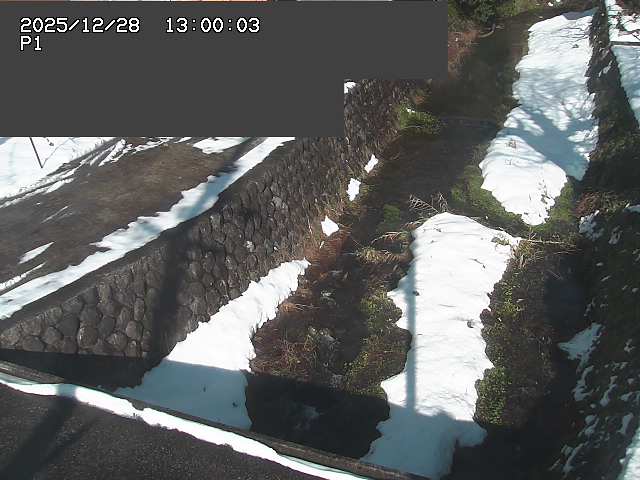 新興寺谷川１2025/12/29 9:50:00