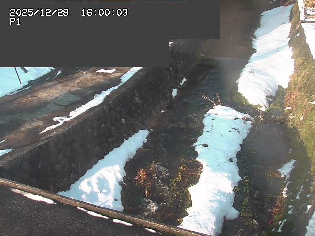 新興寺谷川１2025/12/29 9:50:00