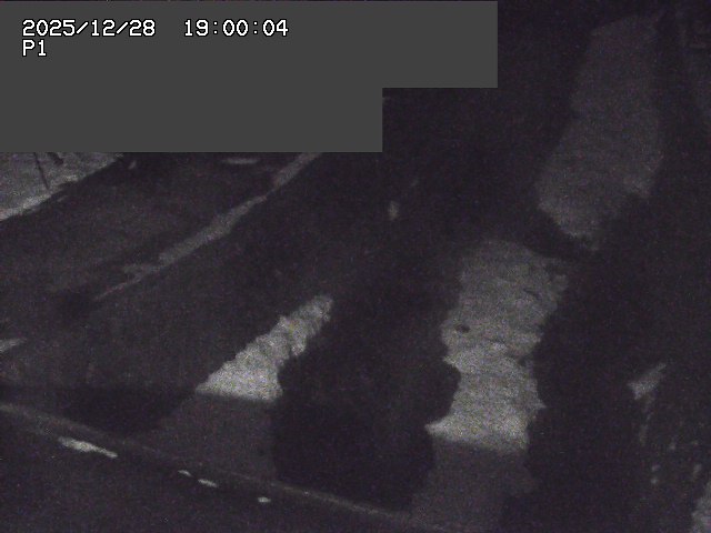 新興寺谷川１2025/12/29 9:50:00