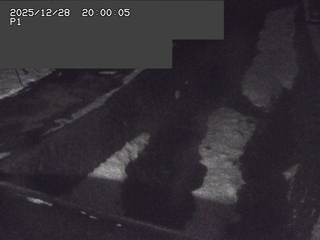 新興寺谷川１2025/12/29 9:50:00