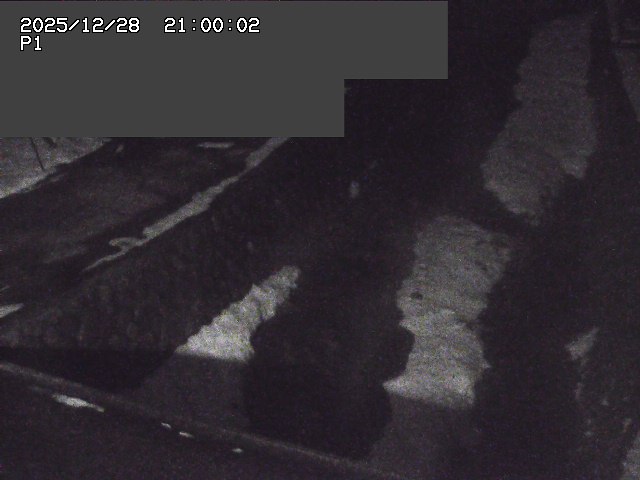 新興寺谷川１2025/12/29 9:50:00