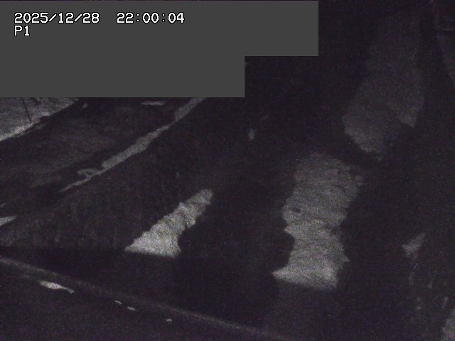 新興寺谷川１2025/12/29 9:50:00