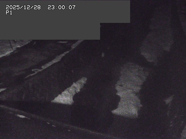 新興寺谷川１2025/12/29 9:50:00