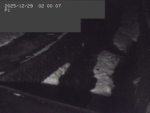 新興寺谷川１2025/12/29 9:50:00