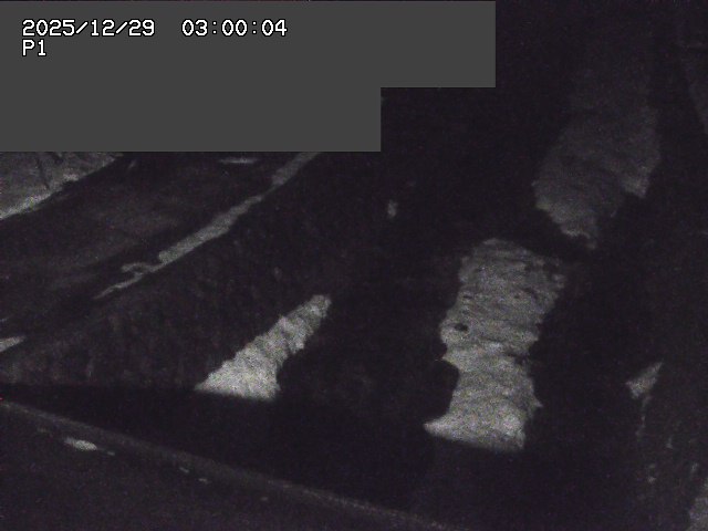 新興寺谷川１2025/12/29 9:50:00