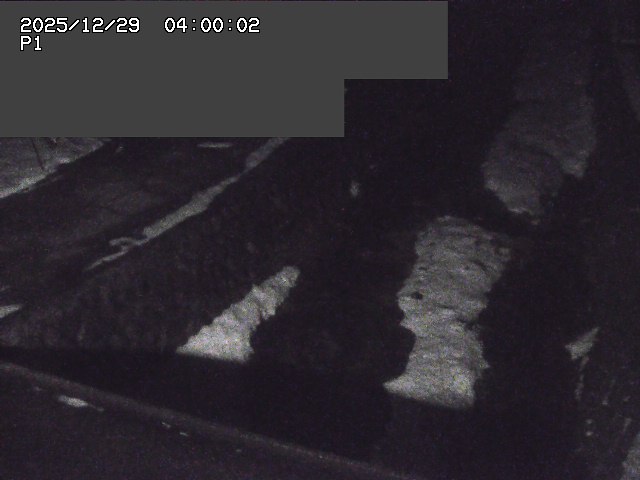 新興寺谷川１2025/12/29 9:50:00