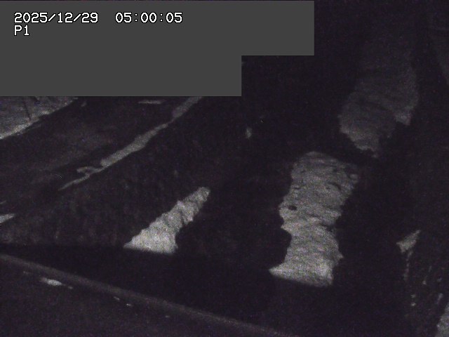 新興寺谷川１2025/12/29 9:50:00