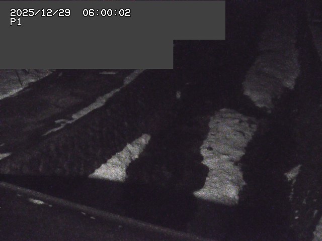 新興寺谷川１2025/12/29 9:50:00