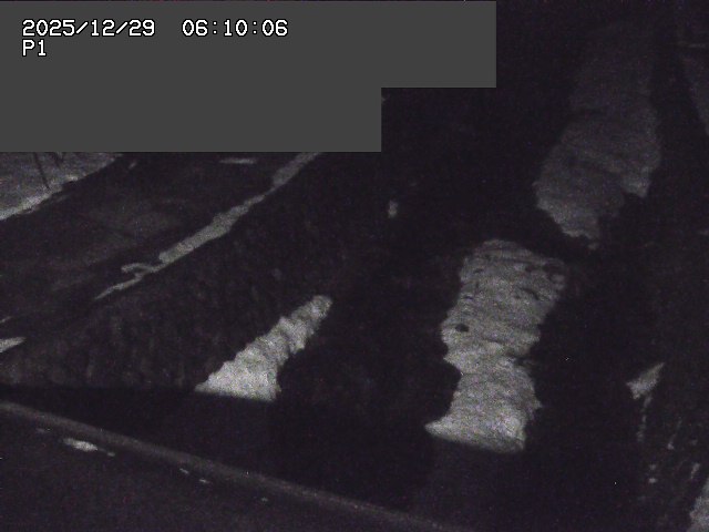 新興寺谷川１2025/12/29 9:50:00