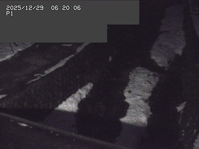 新興寺谷川１2025/12/29 9:50:00