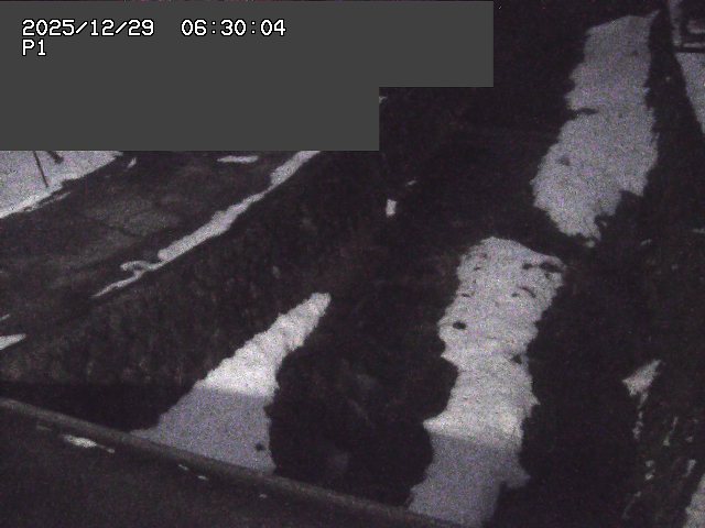 新興寺谷川１2025/12/29 9:50:00