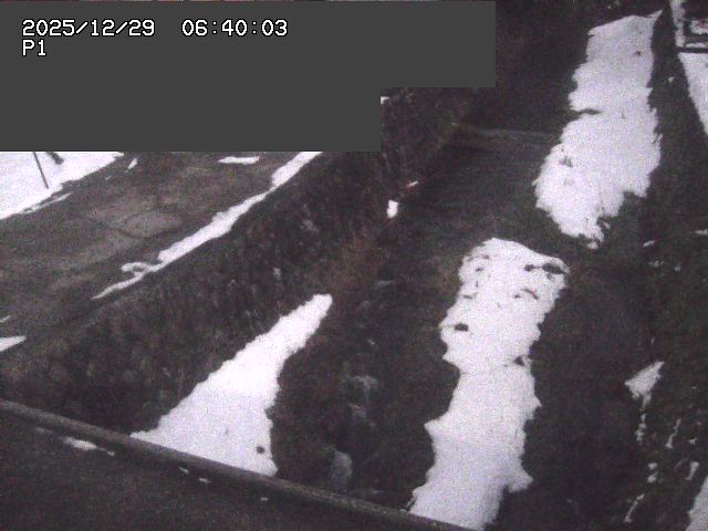 新興寺谷川１2025/12/29 9:50:00