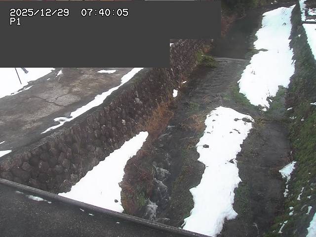 新興寺谷川１2025/12/29 9:50:00