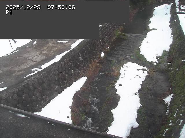 新興寺谷川１2025/12/29 9:50:00