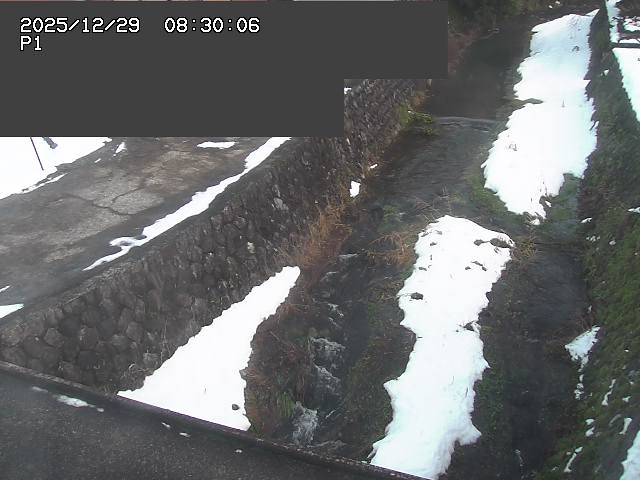 新興寺谷川１2025/12/29 9:50:00