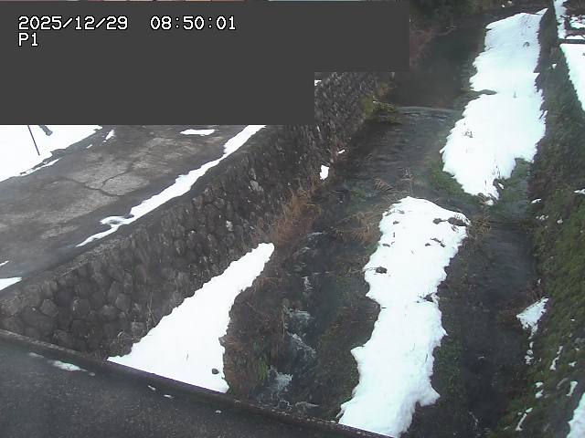 新興寺谷川１2025/12/29 9:50:00