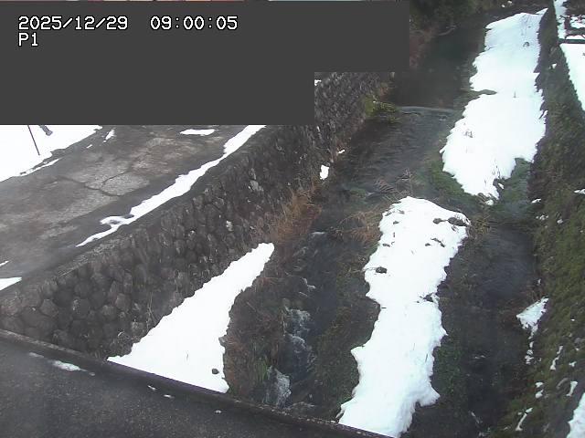 新興寺谷川１2025/12/29 9:50:00