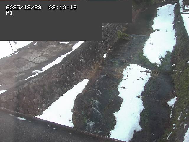新興寺谷川１2025/12/29 9:50:00