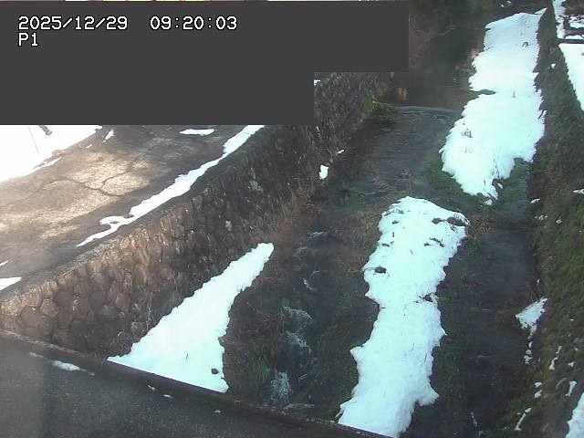新興寺谷川１2025/12/29 9:50:00
