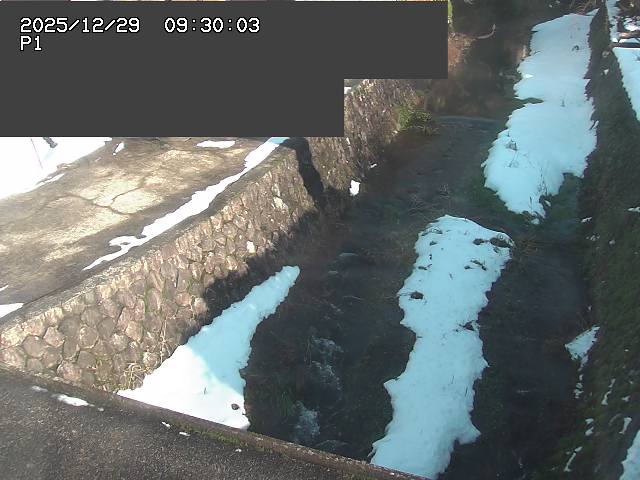 新興寺谷川１2025/12/29 9:50:00