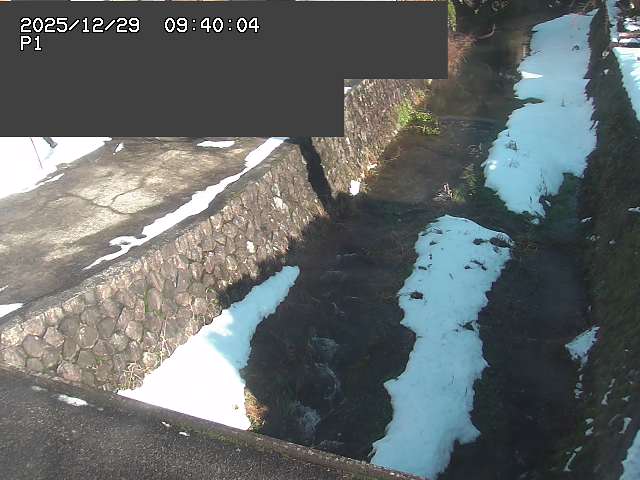 新興寺谷川１2025/12/29 9:50:00