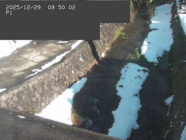 新興寺谷川１2025/12/29 9:50:00