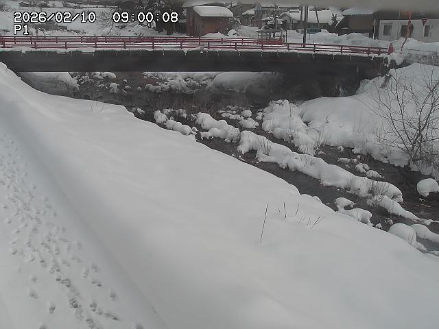 細見川１2026/02/11 3:30:00