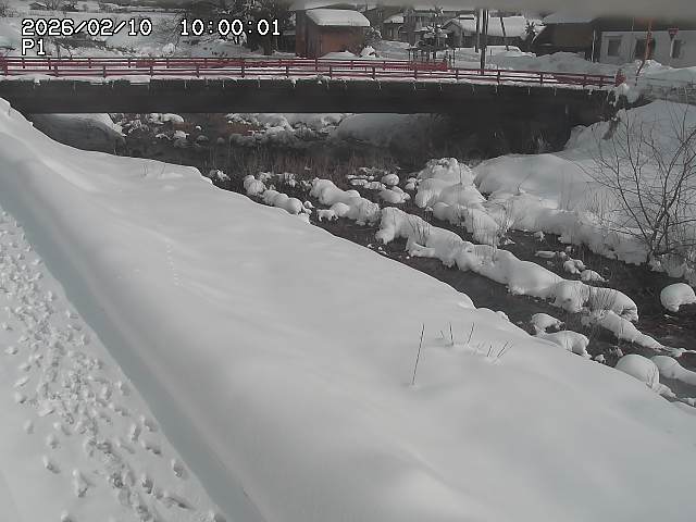 細見川１2026/02/11 3:30:00