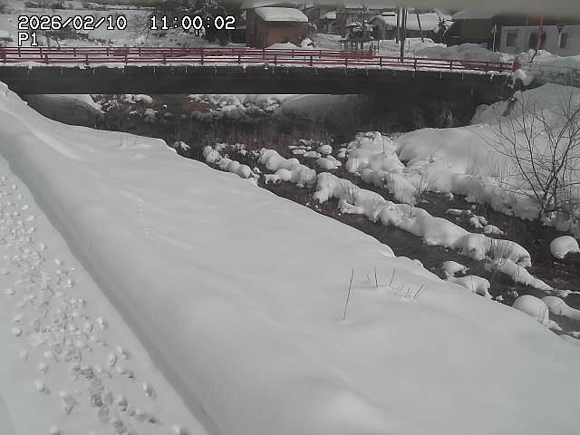 細見川１2026/02/11 3:30:00